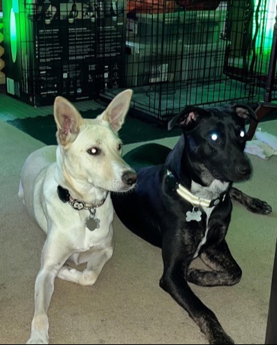 057164F8 3CEE 46D8 B7BF 2E7FDDBD23C0