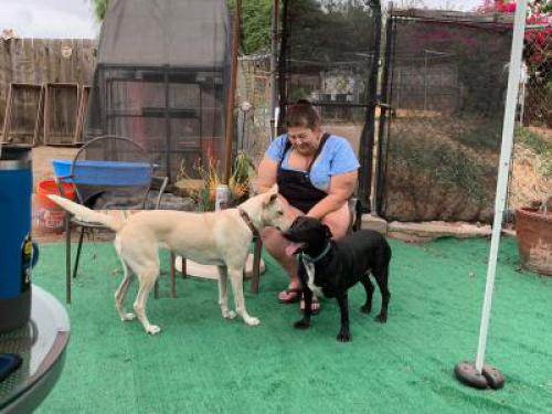 Playing with Wendy Sue and Tsuya